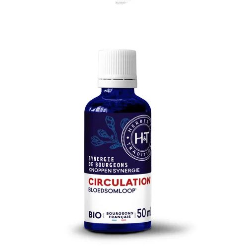 Complément alimentaire synergie gemmo circulation bio Herbes et Traditions - 50 ml
