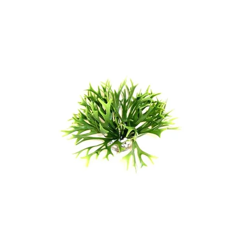Massif d’algue vert en plastique petit modèle Ø 20 x 14 cm