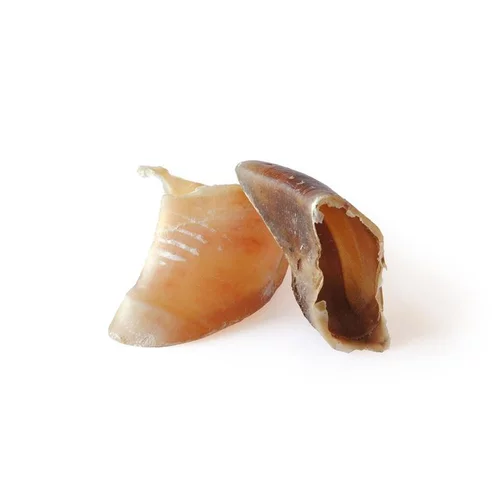 Sabot de veau en vrac - prix à la pièce