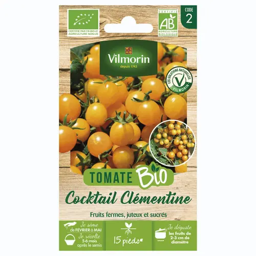 Tomate Cocktail Clémentine Bio Vilmorin - graines à semer