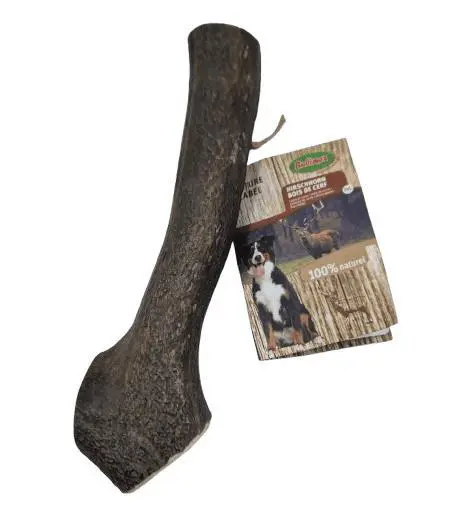 Bois de cerf pour chien Bubimex - Taille XXL