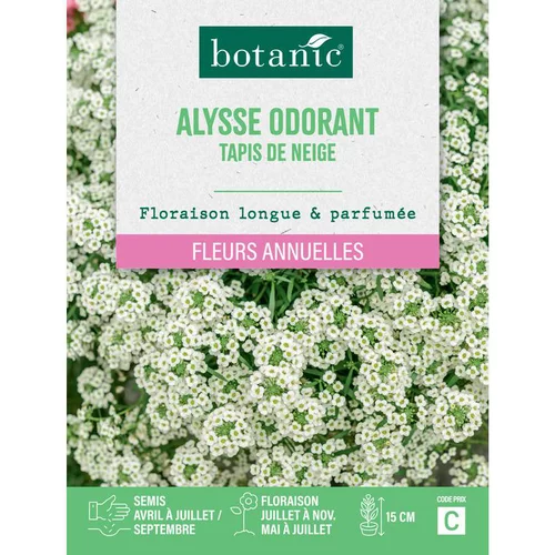 Graines de fleurs d'Alysse odorant tapis de neige botanic®