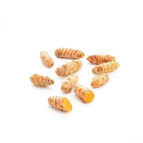 Curcuma bio du Pérou - prix au kg
