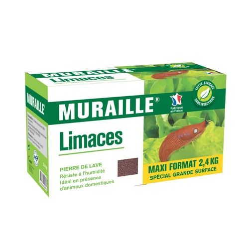 Limaces muraille Décamp - 2,4 kg