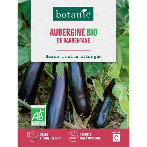 Graines d’Aubergine de Barbentane bio botanic® - graines à semer