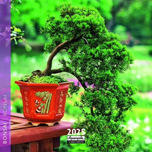 Calendrier 2025 Bonsai coloris multicolore Aquarupella - 16,5 x 16,5 cm
