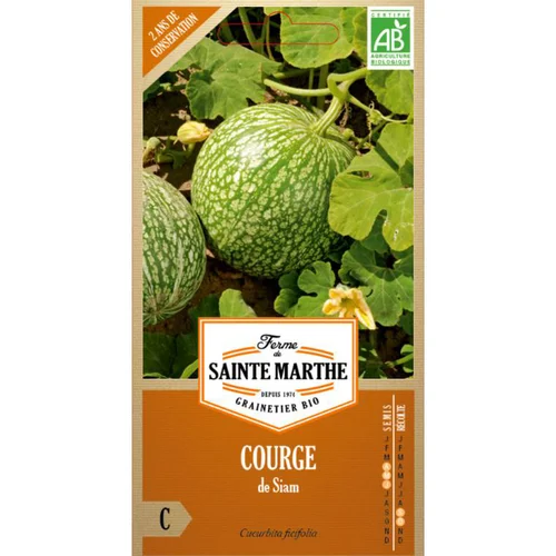 Graines de Courge de Saim bio Ferme de Sainte Marthe - graines à semer