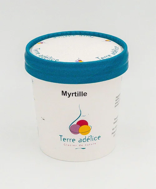 Sorbet myrtille sauvage Terre Adélice - Pot de 120 ml