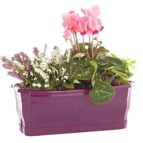 Composition d'extérieur mélange violet rose - La jardinière de 30 cm