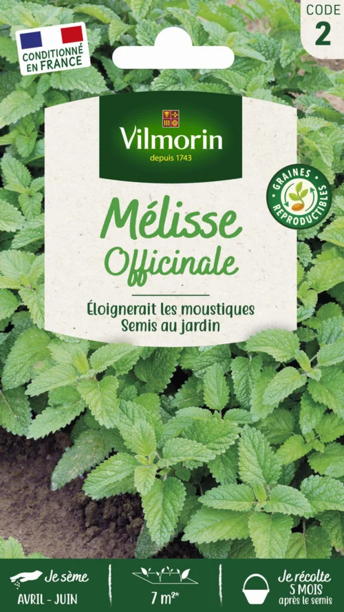 Mélisse officinale Vilmorin - graines à semer