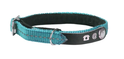 Collier pour chat coloris bleu turquoise Bobby Lost