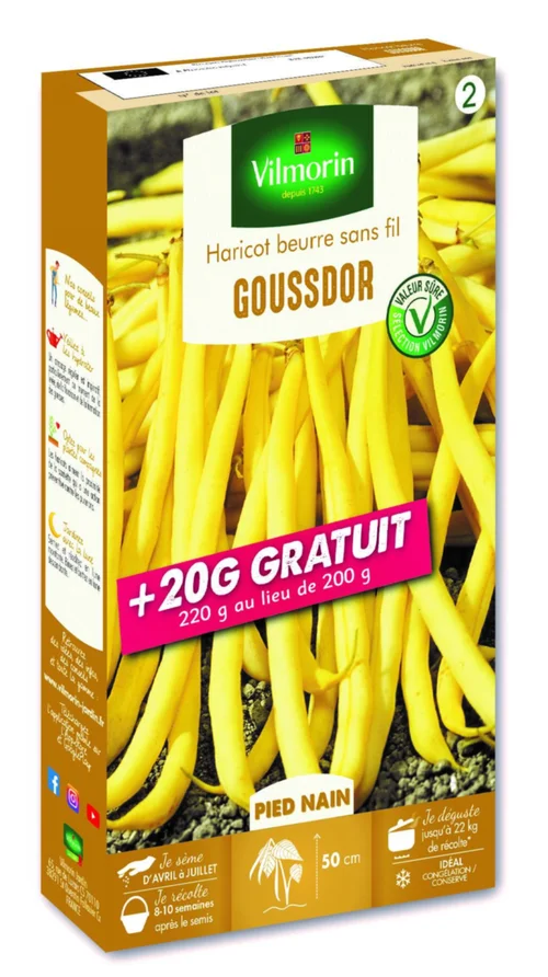 Haricot Beurre sans fil Goussdor Vilmorin - graines à semer