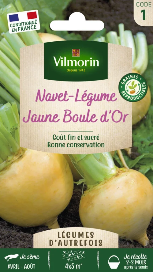 Navet Jaune Boule d'Or Vilmorin - graines à semer