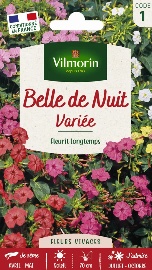 Belle-de-nuit Variée Vilmorin - graines à semer