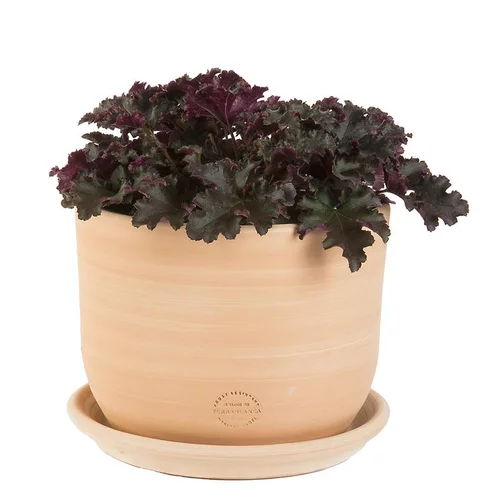Pot gamme macetero Ø 31 cm