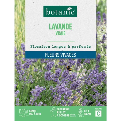 Graines de lavande variée botanic® - graines à semer