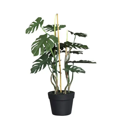 Plante artificielle Philo en pot coloris vert - 58 cm