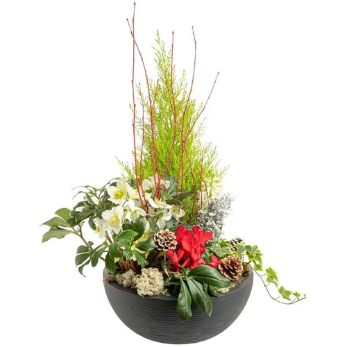 Composition de Noël coupe graphique multicolore - 40 cm