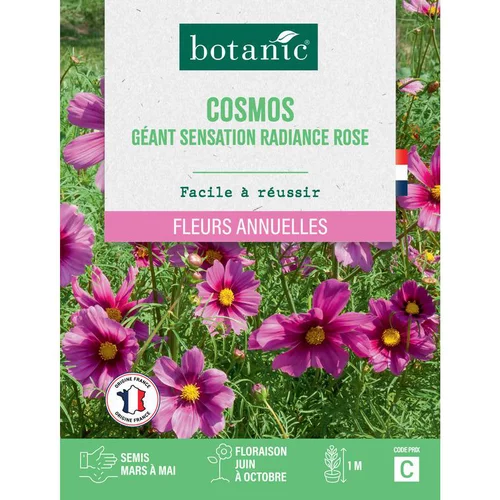 Graines de fleurs de Cosmos géant Sensation radiance rose botanic®