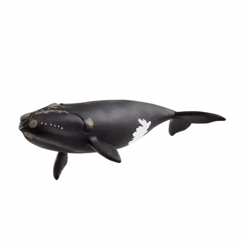Figurine Schleich® Baleine de l'Atlantique - 19,5 x 9,7 x 4,5 cm
