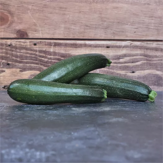 Courgette Black beauty | Biologische en reproduceerbare zaden