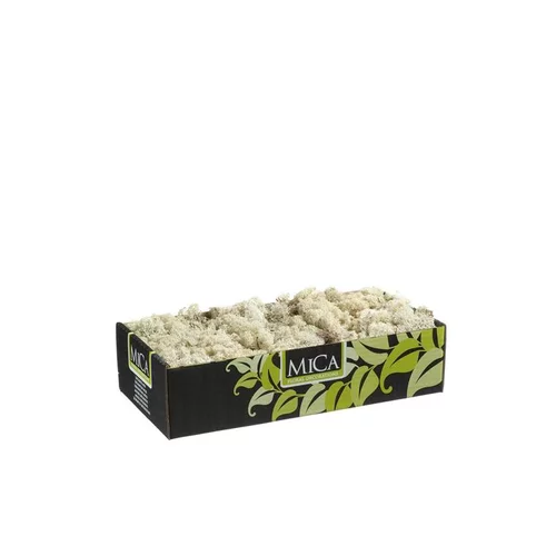 Lichen artificiel beige 500 g
