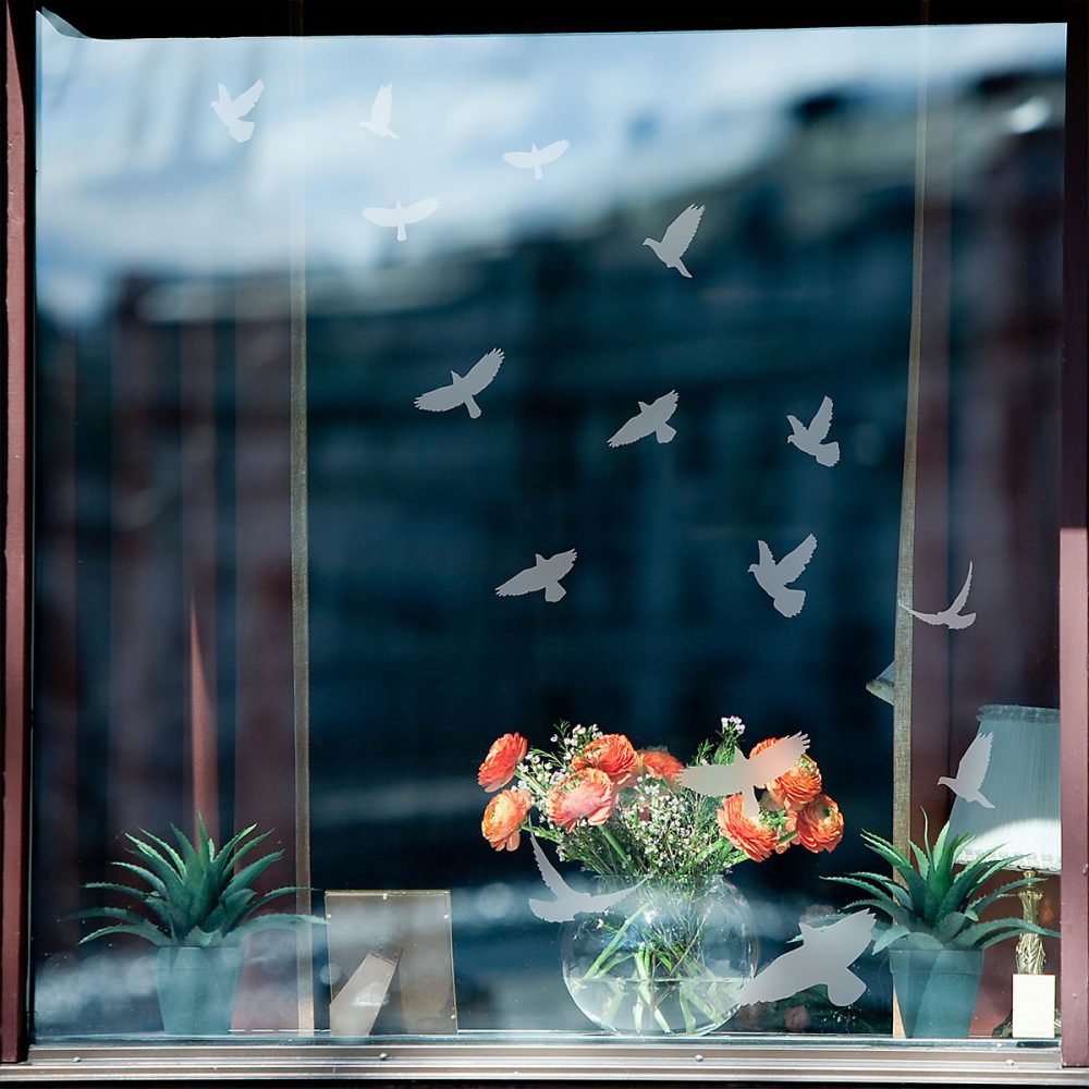 15 stickers oiseaux anti – collision translucide 55 × 55 cm