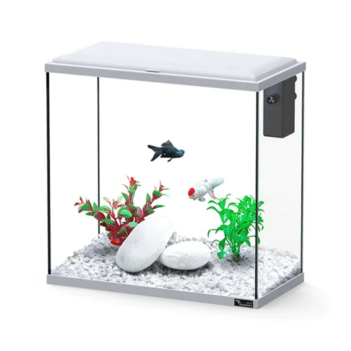 Aquarium d'eau froide et d'eau douce coloris gris Aquatlantis Explorer Dublin - H 40 x P 20 x L 40 cm