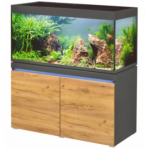 Aquarium en graphite naturel, LED, EHEIM AQUARIUM Incpiria 430 - 430L
