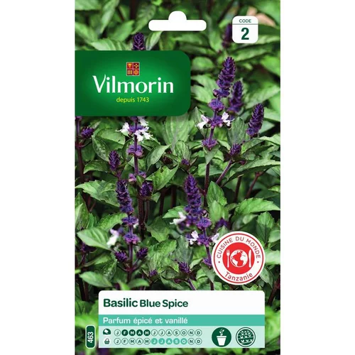 Graines de basilic blue spice Vilmorin - graines à semer
