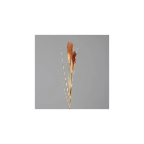 Herbe de la pampa crème/brun artificielle - 107 cm