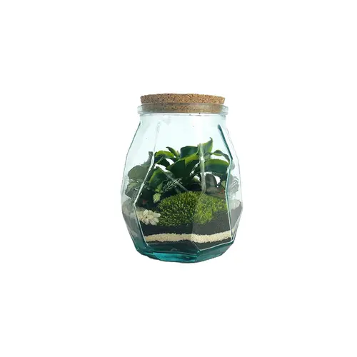 Terrarium autonome Origami M botanic® - Ø 17 x 21 cm