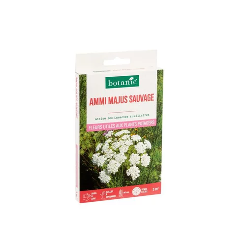 Ammi Majus sauvage botanic® - graines à semer (3 m²)