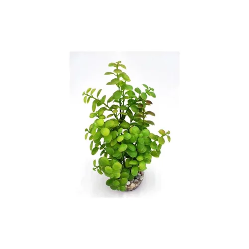 Arbre lentille vert en plastique grand modèle 22 cm