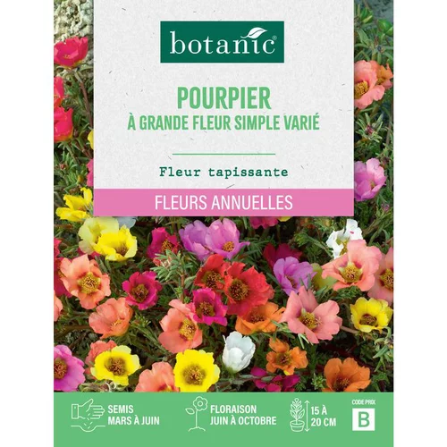 Graines de fleurs de Pourpier à grande fleur simple varié botanic®