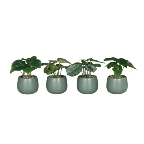 Plante verte artificielle en pot céramique vert - 15 cm