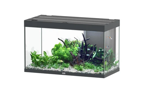 Aquarium coloris gris Aquatlantis Sublime Ultra LED 2.0 245 L - 100 x 50 x 60 cm