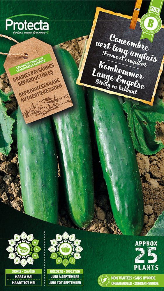 Concombre vert long anglais – Protecta Graines paysanne, Ca. 3 gr