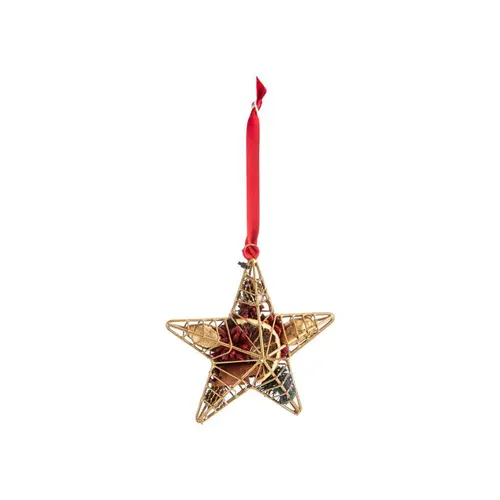 Décoration à suspendre en métal or forme étoile garnie de pot-pourri rouge et vert - 9,2 x 4,1 x 13,5 cm