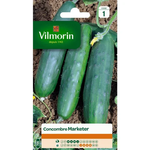Graines de Concombre Marketer Vilmorin - graines à semer