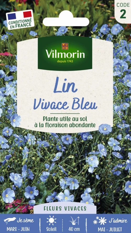 Lin Vivace Bleu Vilmorin - graines à semer