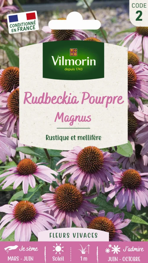 Rudbeckia Pourpre Magnus Vilmorin - graines à semer