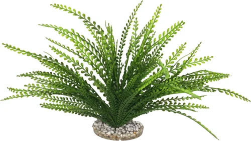 Plante artificielle pour aquarium coloris vert LABEO Elodea Corolle
