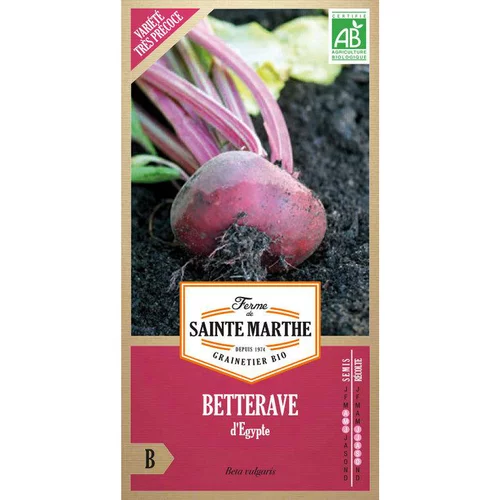 Graines de betterave potagère d'Egypte bio Ferme de Sainte Marthe - graines à semer