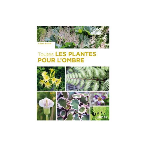 Livre Toutes les plantes pour l'ombre aux Éditions Ulmer - 320 pages