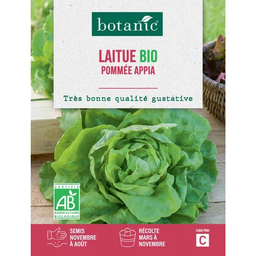 Graines de laitue pommée appia bio botanic® - graines pommée semer