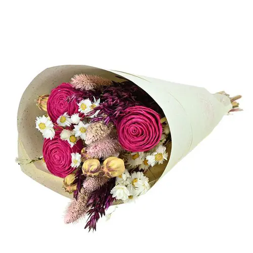 Bouquet de fleurs séchées Naturalys Sola S rose - 50 cm
