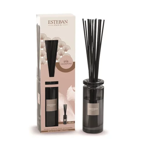 Bouquet parfumé initial + recharge senteur iris cachemire Esteban - 100 ml
