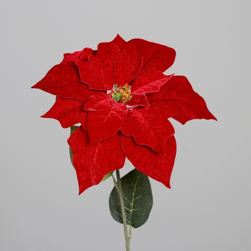 Tige de poinsettia en velours rouge - 56 cm