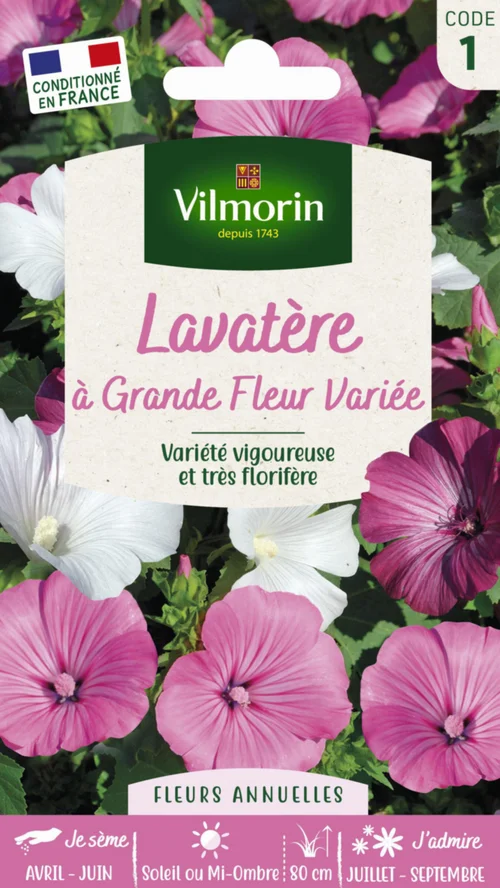 Lavatère à Grande Fleur variée Vilmorin - graines à semer